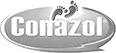 Bansi